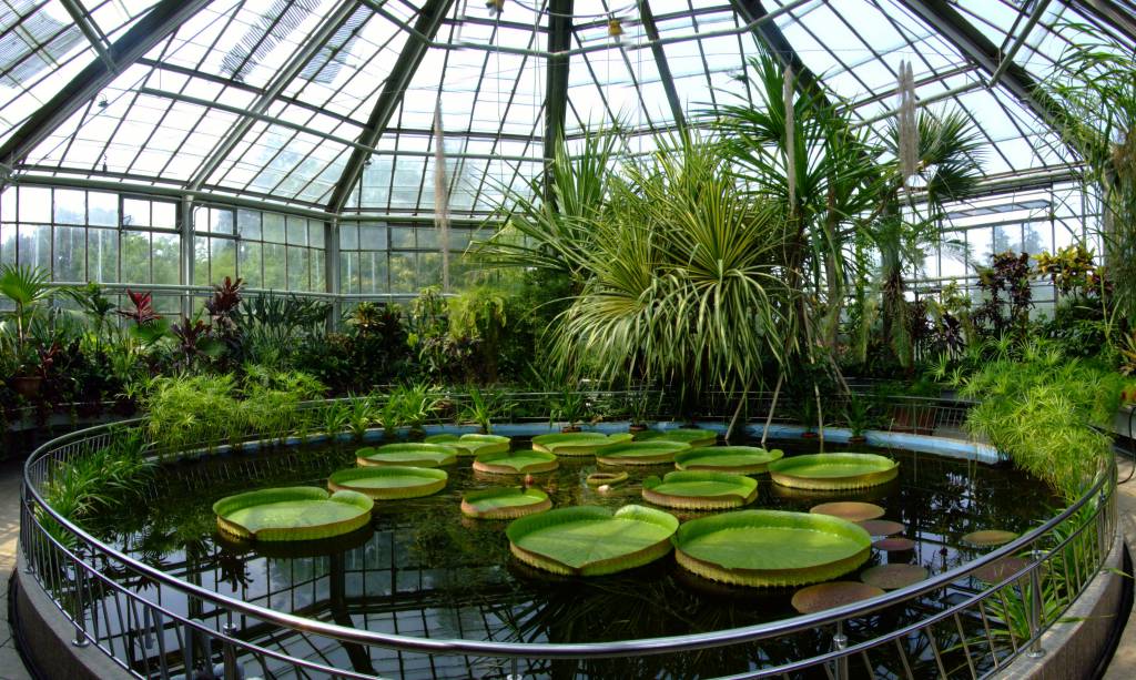Poza Botanical Garden (Gradina Botanica)