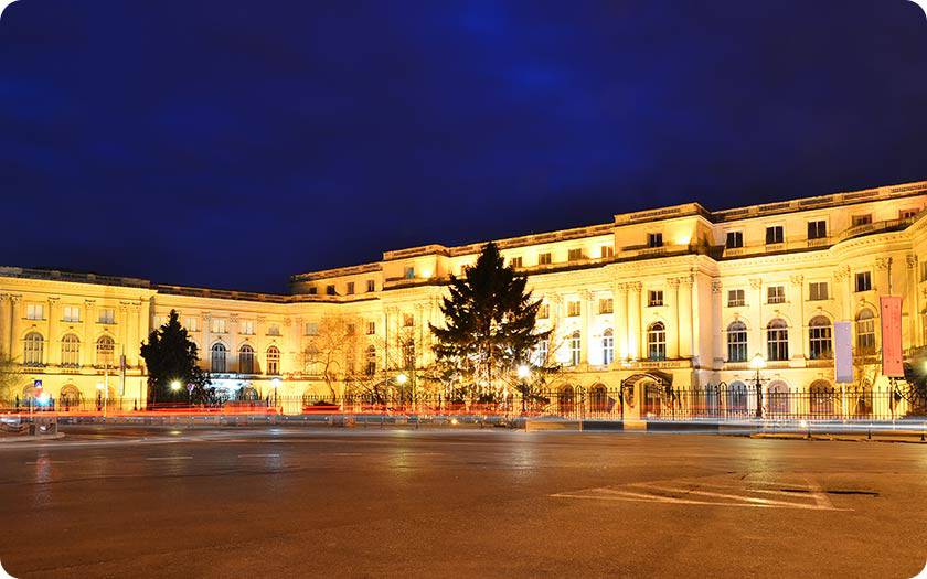 Poza National Art Museum (Muzeul Nationa