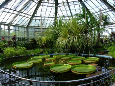Poza Botanical Garden (Gradina Botanica)