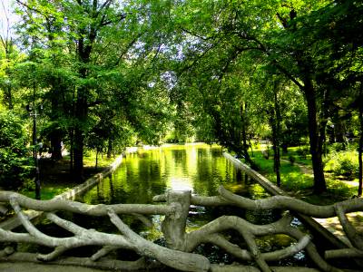 Poza Cismigiu Garden (Gradina Cismigiu)